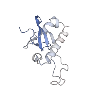 16228_8btd_La_v1-2
Giardia Ribosome in PRE-T Hybrid State (D1)