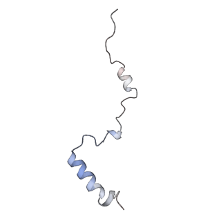 16228_8btd_Lc_v1-2
Giardia Ribosome in PRE-T Hybrid State (D1)