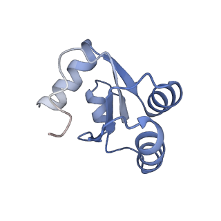 16228_8btd_Ld_v1-2
Giardia Ribosome in PRE-T Hybrid State (D1)