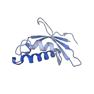 16228_8btd_Le_v1-2
Giardia Ribosome in PRE-T Hybrid State (D1)