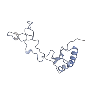 16228_8btd_Lf_v1-2
Giardia Ribosome in PRE-T Hybrid State (D1)