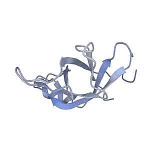 16228_8btd_Lg_v1-2
Giardia Ribosome in PRE-T Hybrid State (D1)
