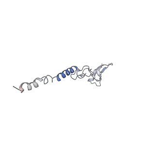 16228_8btd_Lh_v1-2
Giardia Ribosome in PRE-T Hybrid State (D1)