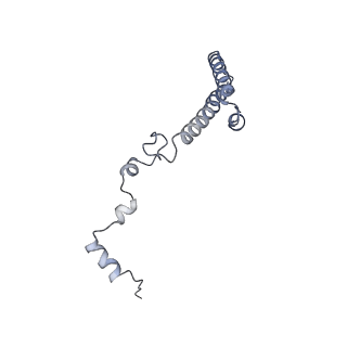 16228_8btd_Li_v1-2
Giardia Ribosome in PRE-T Hybrid State (D1)