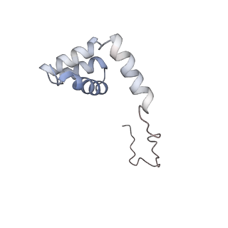 16228_8btd_Lj_v1-2
Giardia Ribosome in PRE-T Hybrid State (D1)