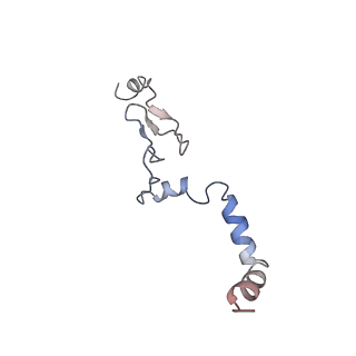 16228_8btd_Lk_v1-2
Giardia Ribosome in PRE-T Hybrid State (D1)