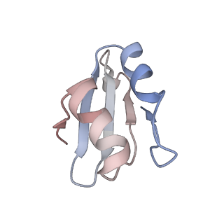 16228_8btd_Ll_v1-2
Giardia Ribosome in PRE-T Hybrid State (D1)