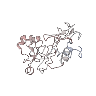16228_8btd_Ln_v1-2
Giardia Ribosome in PRE-T Hybrid State (D1)