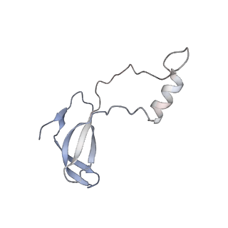 16228_8btd_Lp_v1-2
Giardia Ribosome in PRE-T Hybrid State (D1)