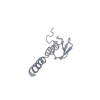 16228_8btd_Lq_v1-2
Giardia Ribosome in PRE-T Hybrid State (D1)