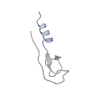 16228_8btd_Ls_v1-2
Giardia Ribosome in PRE-T Hybrid State (D1)