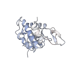 16228_8btd_SA_v1-2
Giardia Ribosome in PRE-T Hybrid State (D1)