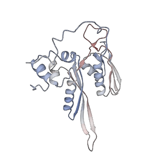 16228_8btd_SB_v1-2
Giardia Ribosome in PRE-T Hybrid State (D1)