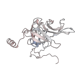 16228_8btd_SE_v1-2
Giardia Ribosome in PRE-T Hybrid State (D1)