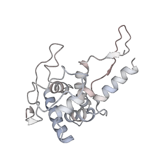 16228_8btd_SF_v1-2
Giardia Ribosome in PRE-T Hybrid State (D1)