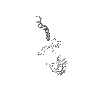 16228_8btd_SG_v1-2
Giardia Ribosome in PRE-T Hybrid State (D1)