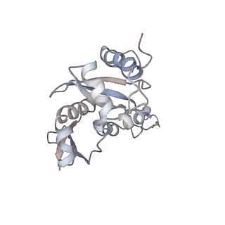 16228_8btd_SH_v1-2
Giardia Ribosome in PRE-T Hybrid State (D1)