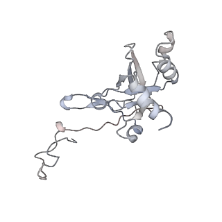 16228_8btd_SI_v1-2
Giardia Ribosome in PRE-T Hybrid State (D1)