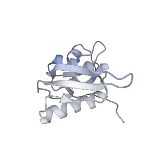 16228_8btd_SJ_v1-2
Giardia Ribosome in PRE-T Hybrid State (D1)