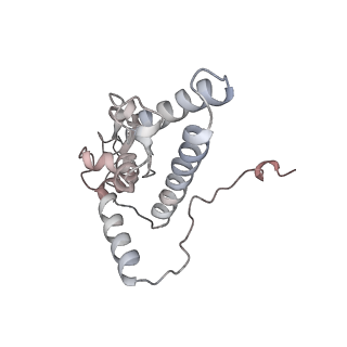 16228_8btd_SK_v1-2
Giardia Ribosome in PRE-T Hybrid State (D1)