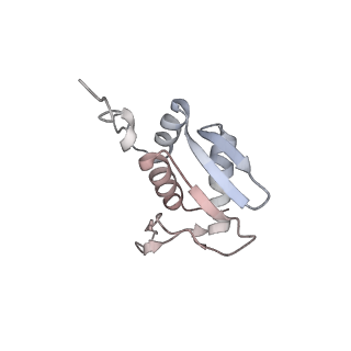 16228_8btd_SL_v1-2
Giardia Ribosome in PRE-T Hybrid State (D1)