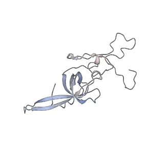 16228_8btd_SM_v1-2
Giardia Ribosome in PRE-T Hybrid State (D1)