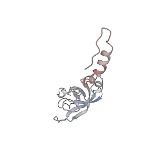 16228_8btd_SO_v1-2
Giardia Ribosome in PRE-T Hybrid State (D1)