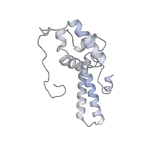 16228_8btd_SP_v1-2
Giardia Ribosome in PRE-T Hybrid State (D1)