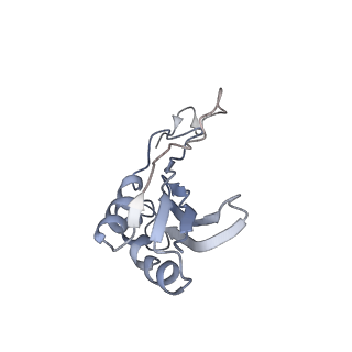 16228_8btd_SQ_v1-2
Giardia Ribosome in PRE-T Hybrid State (D1)