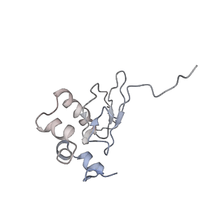 16228_8btd_SR_v1-2
Giardia Ribosome in PRE-T Hybrid State (D1)