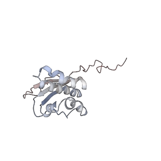 16228_8btd_ST_v1-2
Giardia Ribosome in PRE-T Hybrid State (D1)