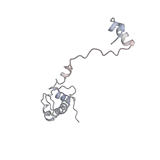 16228_8btd_SU_v1-2
Giardia Ribosome in PRE-T Hybrid State (D1)