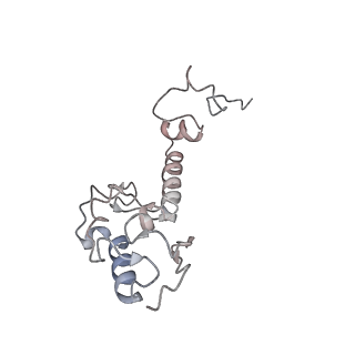 16228_8btd_SV_v1-2
Giardia Ribosome in PRE-T Hybrid State (D1)