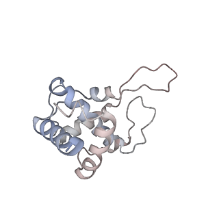 16228_8btd_SW_v1-2
Giardia Ribosome in PRE-T Hybrid State (D1)