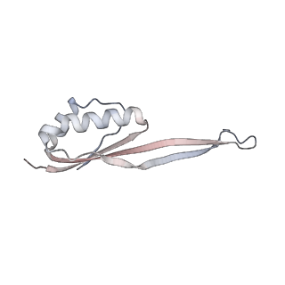 16228_8btd_SX_v1-2
Giardia Ribosome in PRE-T Hybrid State (D1)