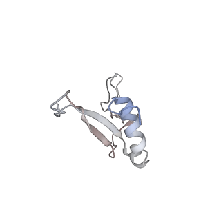 16228_8btd_SY_v1-2
Giardia Ribosome in PRE-T Hybrid State (D1)