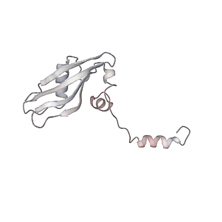 16228_8btd_Sb_v1-2
Giardia Ribosome in PRE-T Hybrid State (D1)