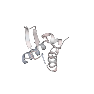 16228_8btd_Sc_v1-2
Giardia Ribosome in PRE-T Hybrid State (D1)