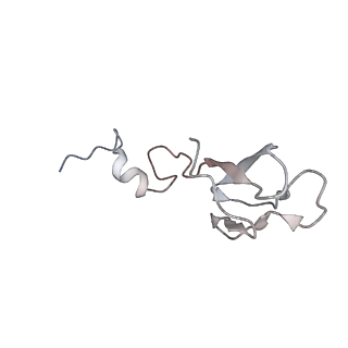 16228_8btd_Se_v1-2
Giardia Ribosome in PRE-T Hybrid State (D1)