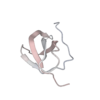 16228_8btd_Sg_v1-2
Giardia Ribosome in PRE-T Hybrid State (D1)