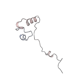 16228_8btd_Sj_v1-2
Giardia Ribosome in PRE-T Hybrid State (D1)