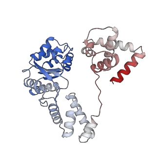 16229_8btg_A_v1-0
Cryo-EM structure of the bacterial replication origin opening basal unwinding system