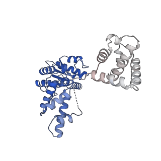 16229_8btg_B_v1-0
Cryo-EM structure of the bacterial replication origin opening basal unwinding system