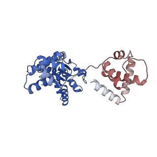 16229_8btg_C_v1-0
Cryo-EM structure of the bacterial replication origin opening basal unwinding system