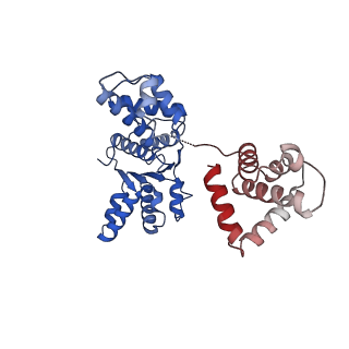 16229_8btg_D_v1-0
Cryo-EM structure of the bacterial replication origin opening basal unwinding system