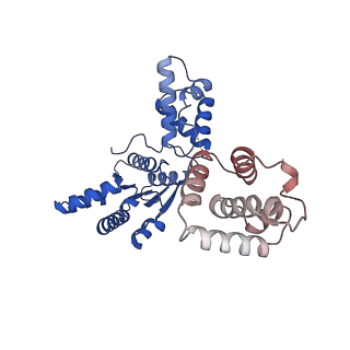 16229_8btg_E_v1-0
Cryo-EM structure of the bacterial replication origin opening basal unwinding system