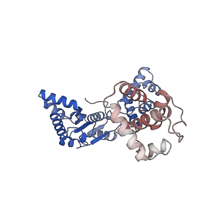 16229_8btg_F_v1-0
Cryo-EM structure of the bacterial replication origin opening basal unwinding system