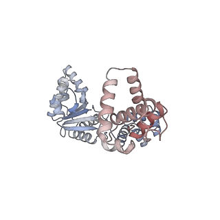 16229_8btg_G_v1-0
Cryo-EM structure of the bacterial replication origin opening basal unwinding system