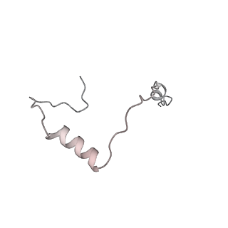 16232_8btk_AD_v1-1
Structure of the TRAP complex with the Sec translocon and a translating ribosome