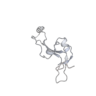 16232_8btk_AE_v1-1
Structure of the TRAP complex with the Sec translocon and a translating ribosome